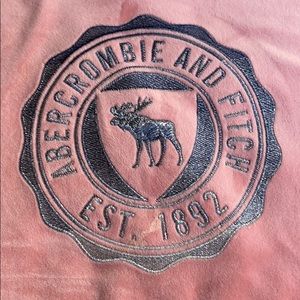 Abercrombie and Fitch Velour Hoodie in Rose Pink